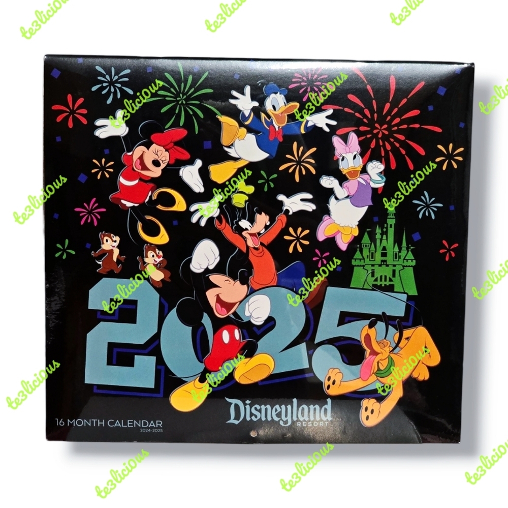 DISNEYLAND 24-2025 16 MONTH CALENDAR - Picture 1 of 4